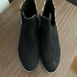 Not Rated Black Suede Ankle Booties with Leopard Trim